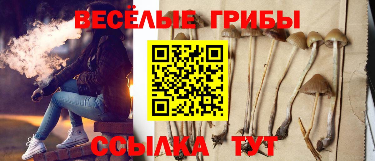 Галлюциногенные грибы MAGIC MUSHROOMS Верхний Уфалей