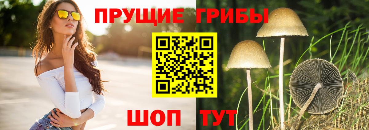 Галлюциногенные грибы GOLDEN TEACHER  Вход с VPN  Галлюциногенные грибы Cubensis  Верхний Уфалей 